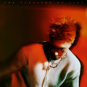 国产欧美日韩精品丝袜高跟鞋
