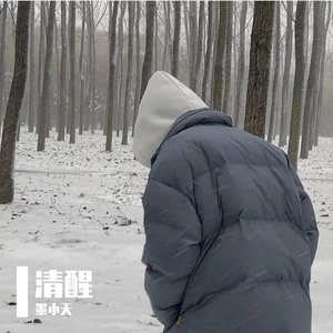 国产欧美日韩精品丝袜高跟鞋
